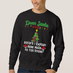 Lieber Weihnachtsmann, bevor ich erkläre, wie viel Sweatshirt
