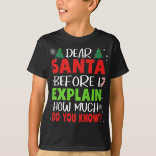 Lieber Weihnachtsmann, bevor ich erkläre, wie viel T-Shirt