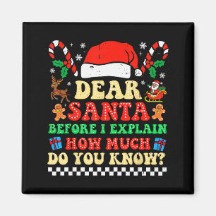 Lieber Weihnachtsmann, ich kann erklären Lustiges Magnet