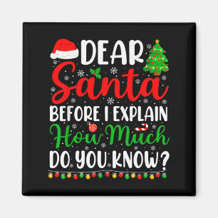 Lieber Weihnachtsmann, ich kann erklären, T-Shirt  Magnet