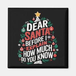 Lieber Weihnachtsmann, ich kann lustige Weihnachts Magnet