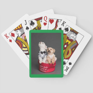 LIEBER WEIHNACHTSMANN, ICH WILL ALLE KNOCHEN SPIELKARTEN