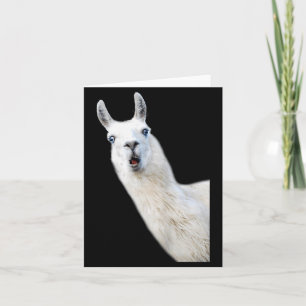 Liebes-Lama-Frauen-Shirt Lama-Liebhaber für Kinder Karte