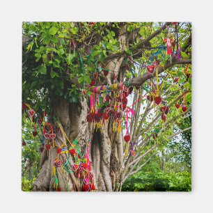 Liebesbaum, Zhonghe - Yunnan, China Magnet