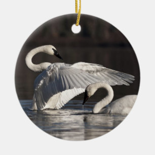 Liebesschwäne Keramik Ornament