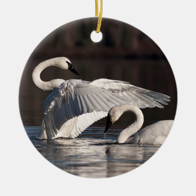 Liebesschwäne Keramik Ornament (Vorne)