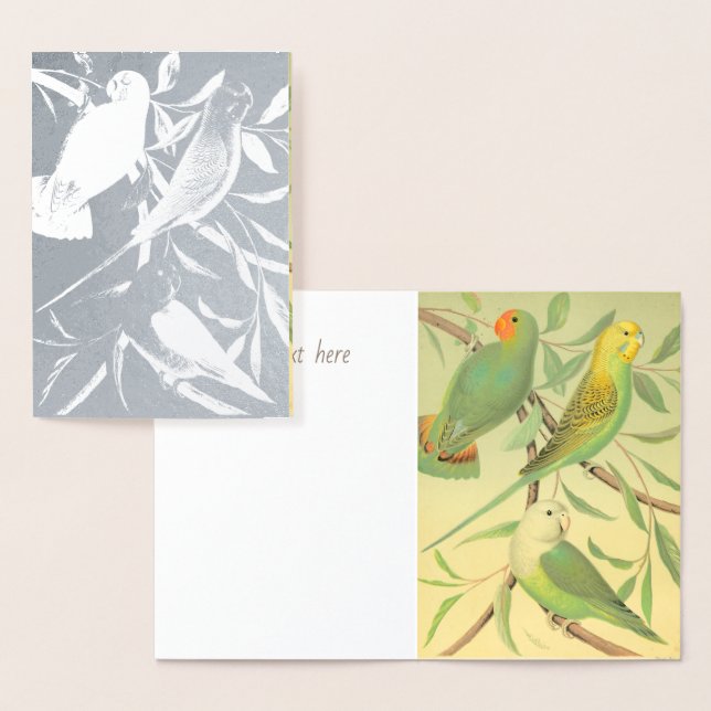 Liebesvögel und -sittiche - silber folienkarte (Anzeige)