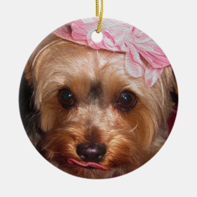Liebevolle Hüte Yorkie II Keramikornament (Vorne)