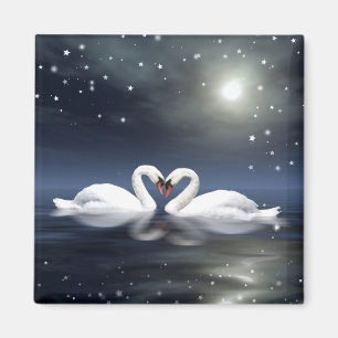 Liebevolle Schwäne Magnet