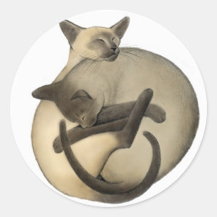 Liebevolle siamesische Katzen Runder Aufkleber