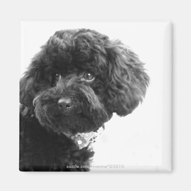 Liebhaber Magnet (Vorne)