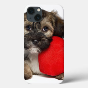 Liebhaber-Valentinsgruß Havanese Hündchen title_seo2