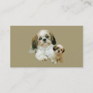 Liebhaber-Visitenkarte Shih Tzu Visitenkarte