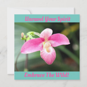 Lieblich rosa Orchid