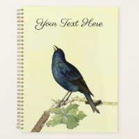 Lieblich Singing Black Bird auf Branch-Raupe