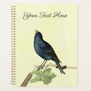 Lieblich Singing Black Bird auf Branch-Raupe Planer