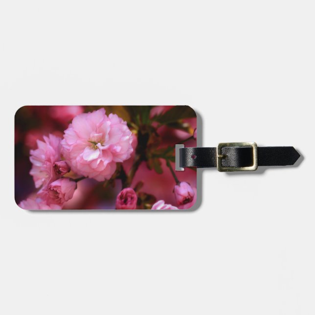 Liebliche Frühlingserreger Rosa Kirschblüten Gepäckanhänger (Vorderseite horizontal)