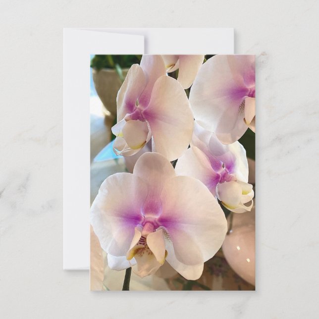 Liebliche Orchids Dankeskarte (Vorderseite)