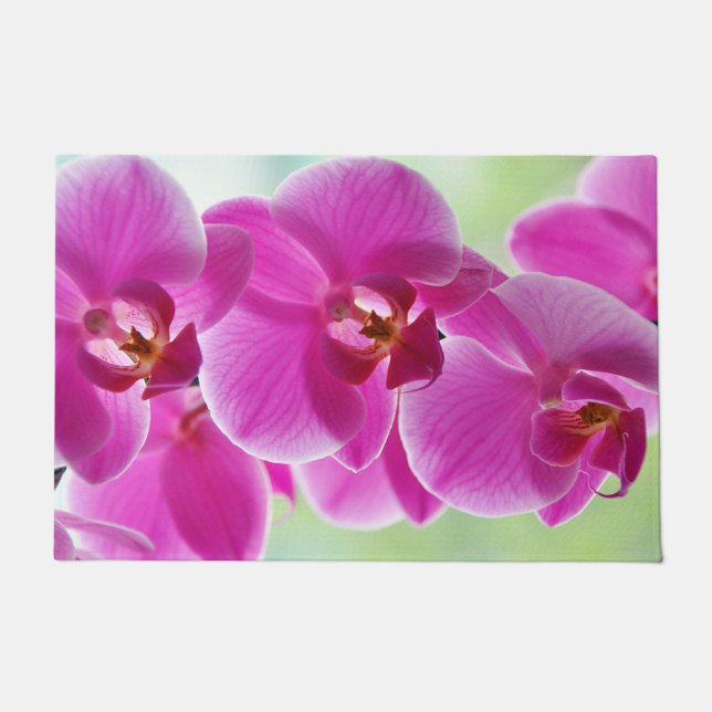Liebliche rosa Orchideen Fußmatte (Vorderseite)