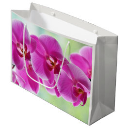 Liebliche rosa Orchideen Große Geschenktüte