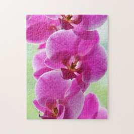 Liebliche rosa Orchids