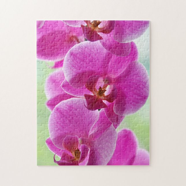 Liebliche rosa Orchids (Vertikal)