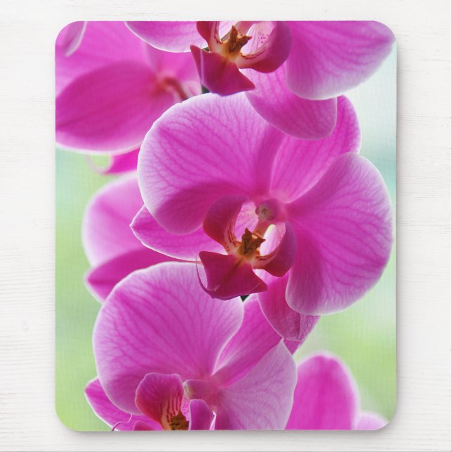 Liebliche rosa Orchids Mousepad (Vorne)