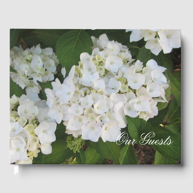 Liebliche White Hydrangeas Gästebuch (Vorderseite)