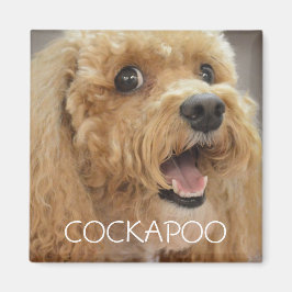 Lieblicher Cockapoo Hund lächeln Magnet