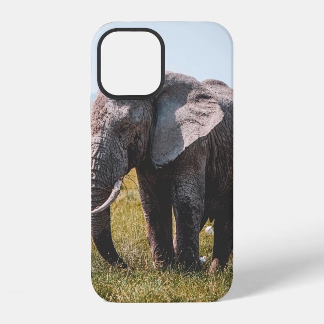 LIEBLICHER ELEFANT iPhone 12 HÜLLE (Rückseite)