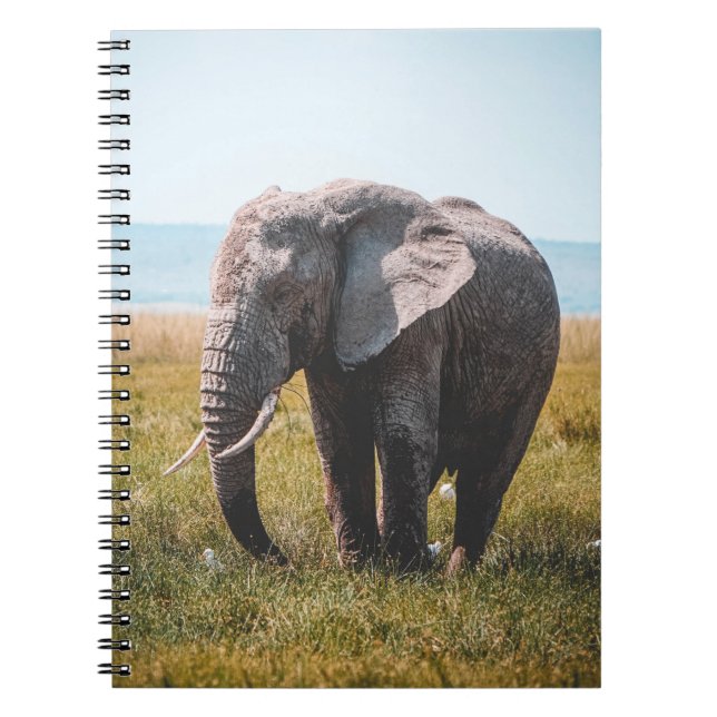 LIEBLICHER ELEFANT NOTIZBLOCK (Vorderseite)