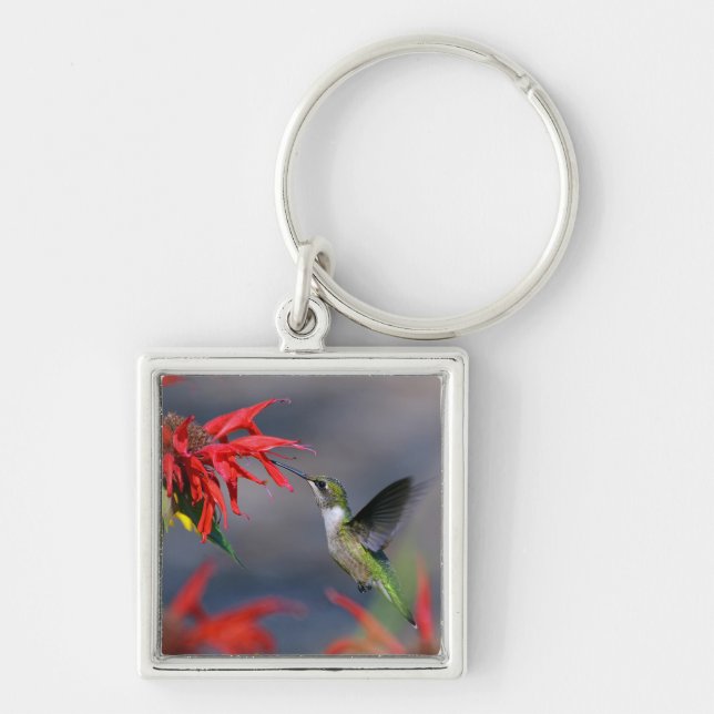 Lieblicher Hummingbird Schlüsselanhänger (Vorne)