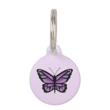 Lieblicher Lila Schmetterling