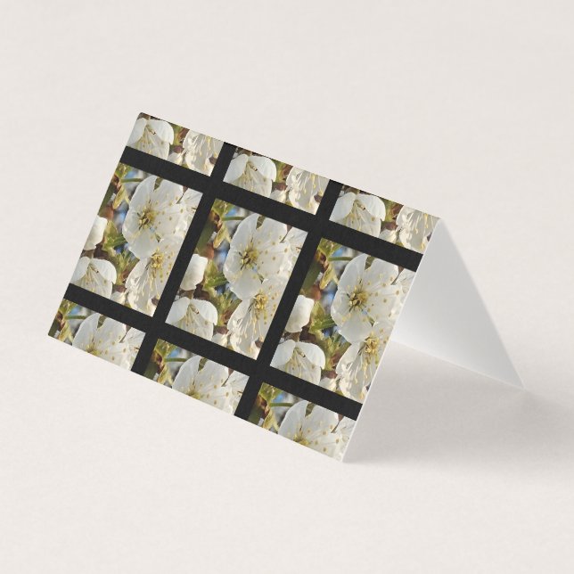 Lieblicher Springflower Grid (Vorderseite)