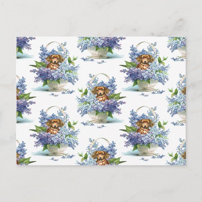 Lieblicher Vintager Hund einer Dackel Postkarte (Vorderseite)