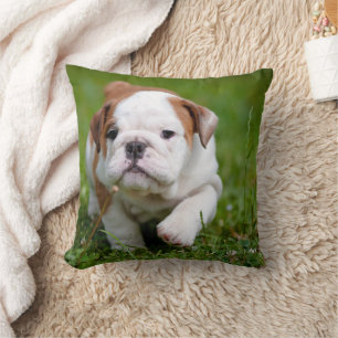 Liebliches Bulldog-Welpenkissen Kissen