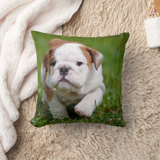 Liebliches Bulldog-Welpenkissen Kissen (Decke)