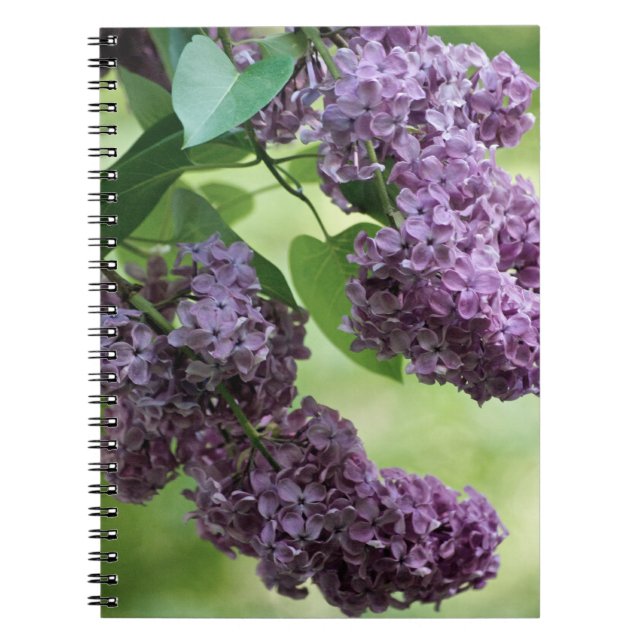 Liebliches Spring Notebook Notizblock (Vorderseite)