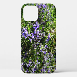 Lieblings-Lavendel...... Case-Mate iPhone Hülle