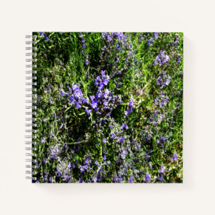Lieblings-Lavendel...... Notizbuch