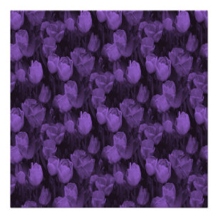 Lieblings-Lavendel... Poster