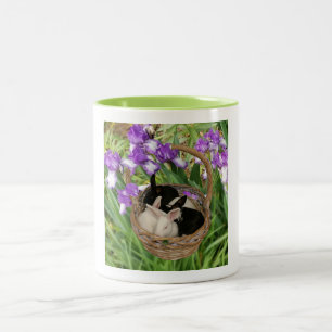 Liebreiziger Korb mit Babykaninchen Zweifarbige Tasse