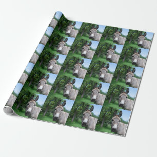 Liebreiziges Eselporträt Geschenkpapier