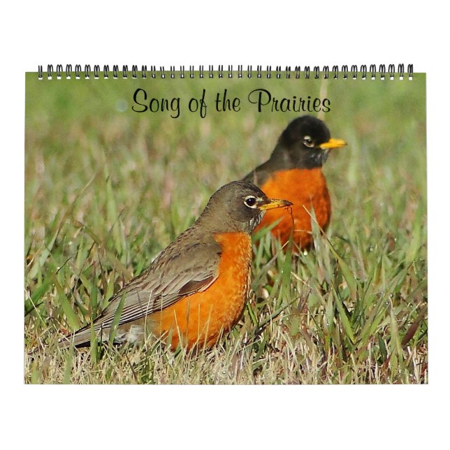 Lied der Prairies 2014 Kalender (Titelbild)