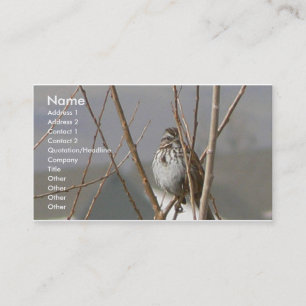 Lied-Spatz Visitenkarte