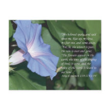 Lied von Solomon 2:10-12 Schrift Postcard