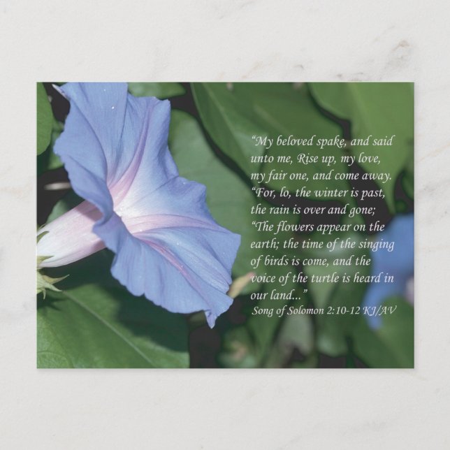 Lied von Solomon 2:10-12 Schrift Postcard Postkarte (Vorderseite)