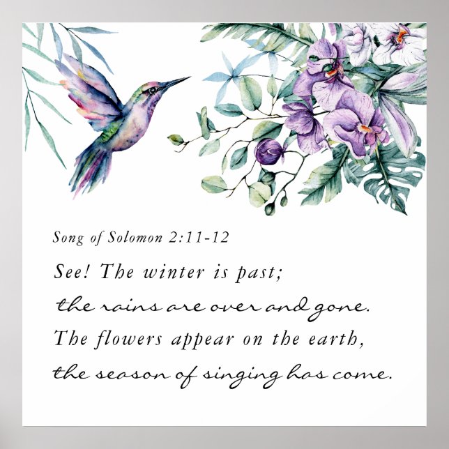 Lied von Solomon 2:11-12 Hummingbird Blume Bibel Poster (Vorne)