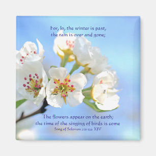 Lied von Solomon 2:11-12a Die Blume erscheinen Magnet