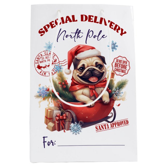 Lieferung an den Nordpol im Mops Mittlere Geschenktüte (Vorderseite)